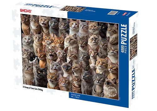 A Group of Cute Cats Sitting